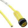Circular Cable Assemblies - 277-15673-ND - DigiKey