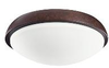 380118TZ Fans-Light Kits - 344769 - Capital Lighting, Inc.