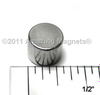 Disc Magnets (Axial) - D250B2 - Amazing Magnets, LLC