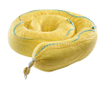 Spill Absorbents - 1890049 - RS Components, Ltd.
