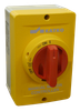 Motor Disconnect Switches -- KEA316UL Y/R - Image