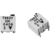 0.25 W 10000 ohm Resistor - 80-TS63Y103KT20 - ERSAELECTRONICS PTE. LTD.