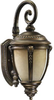 7320-3839 Exterior -Wall Mount - 701172 - Capital Lighting, Inc.