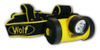 Head Torches -- 7692741 - Image