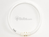 22 Watt, 9" Diameter Warm White T5 Circline Bulb - 166017 - bulbs.com
