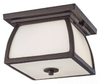 Outdoor Ceiling Light - OL8513ORB - Generation Brands