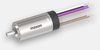 ECX SPEED 19 M Ø19 mm, brushless, with Hall sensors -- ECXZ19M1KN46K1ST1D505A