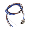Circular Cable Assemblies - 1920-ALBKM08-RM8BR4-P5-ND - DigiKey