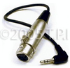 XLRF - 3.5 RA Stereo Mini 2 ft - XVM-349 - Visual Sound, Inc.