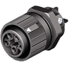 Lighting Connectors -- 1442933 - Image