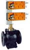 Globe Valve -- G6125C-250+2*AFX24-MFT-S-X1 - Image