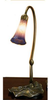 13394 Lamps-Accent Lamps - 721714 - Capital Lighting, Inc.