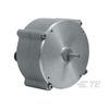 Unclassified - 223-RT8101-0010-111-3110-ND - DigiKey