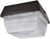 Vandal Resistant Commercial Fixture - VAN5F52QT/2 BLST - RAB Lighting