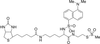 (N-Dansyl)biocytinamidoethyl Methanethiosulfonate -- D177000 - Image
