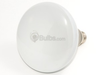 500 Watt, 130 Volt BR40 Swimming Pool Flood Reflector Bulb -- 144303 - Image