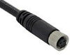 Sensor Cable, M8, Female, 3Pos, Straight; Connector Type A Te Connectivity - 70M9931 - Newark, An Avnet Company
