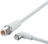 Connection cable - EVF256 - ifm electronic gmbh