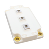 Discrete Semiconductor Products - Diodes - Rectifiers - MSCDC450A120AG - Acme Chip Technology Co., Limited