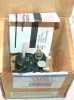 Temperature Switch -- 17665530