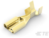 Connector Contacts - 1217095-1 - TE Connectivity