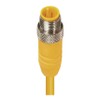 M12 Standard Sensor/Actuator Single-Ended Cordset: Male, - RST 4-602 - Belden Inc.