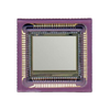 Image Sensors, Camera - NOII5SC1300A-QDC - ODG (Origin Data Global)