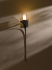 204715-07-ZV304 Sconces-Single Glass - 606748 - Capital Lighting, Inc.