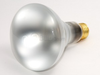 65 Watt, 130 Volt BR30 Reflector Spot - B248106 - bulbs.com