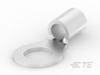 Ring Terminals - 31808 - TE Connectivity