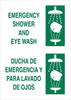 Bilingual Sign - 38481 - Brady Corporation