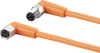 Connection cable - EVT213 - ifm electronic gmbh