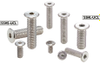 Hex Socket Head Cap Screws with Special Low Profile (SUSXM7 / Cleanroom Washing/Cleanroom Packing) -- SSHS-M2-10-UCL - Image