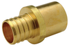 QHM__X Brass Sweat Adapter Coupling -- QHM__X - Image