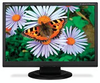 19-Inch AccuSync Series Widescreen Desktop LCD Display - ASLCD194WXM-BK - Visual Sound, Inc.