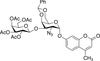 4-Methylumbelliferyl 2-Azido-2-deoxy-3-O-(tetra-O-acetyl- - 28843 - Medical Isotopes, Inc.