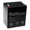 Battery Products - Batteries Rechargeable (Secondary) -- BP5-12-T2