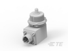 Push Button Switches - K1152921 - TE Connectivity