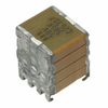 Capacitors - Ceramic Capacitors -- RM045C306KAJ480 - Image