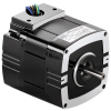 Metric 30R Series AC Motor -- 1319