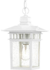 60-4954 Exterior -Hanging - 309338 - Capital Lighting, Inc.