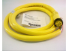 QD Cable/Cord Set - Radwell International