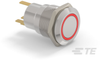 Push Button Switches -- 2-2213764-6 - Image