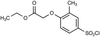 Ethyl [2-Methyl-3-(chlorosulfonyl)phenoxy]acetate - 10114 - Medical Isotopes, Inc.