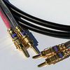 Canare 11GA 4S11 Speaker Cable Banana to Banana 3 FT - 20SP4S11-BB-003 - HAVE, Inc.