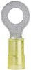 Ring Terminal, Nylon Insulated, 12 - 10 Awg, 3/8