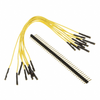 Jumper Wire - 1988-1141-ND - DigiKey
