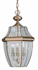 Exterior -Hanging - 265663 - Light Center (The)