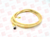 QD Cable/Cord Set - 116032805 - Radwell International