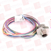Plug/Receptacle - 3524849 - Radwell International
